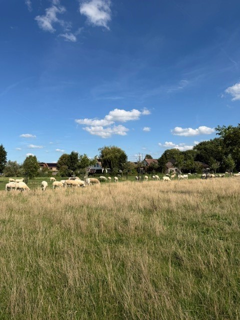 laatste object
